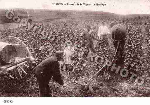 Ville de CHABLIS, carte postale ancienne