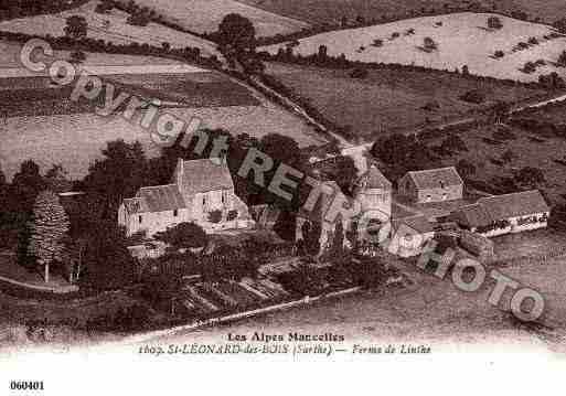 Ville de SAINTLEONARDDESBOIS, carte postale ancienne