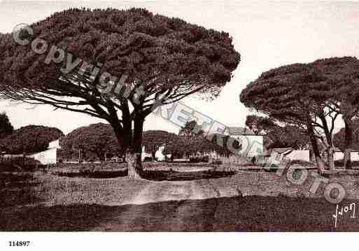 Ville de SAINTTROPEZ, carte postale ancienne Ville de SAINTTROPEZ, carte postale ancienne
