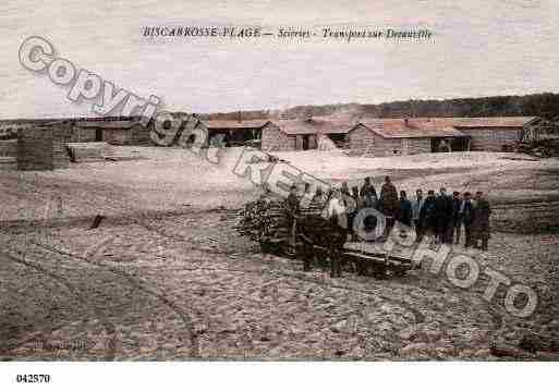 Ville de BISCARROSSE, carte postale ancienne