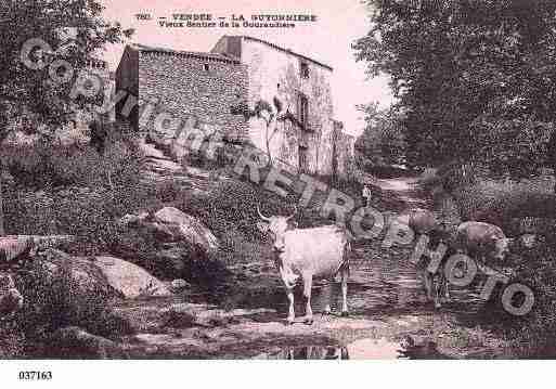 Ville de GUYONNIERE(LA), carte postale ancienne