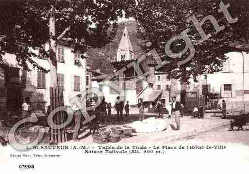 Ville de SAINTSAUVEURSURTINEE, carte postale ancienne