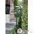 Jardin Jardin