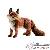 Animaux Animaux
