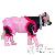 Animaux Animaux