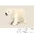Ours en peluche Ours en peluche