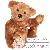 Ours en peluche Ours en peluche