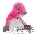 Ours en peluche Ours en peluche