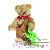 Ours en peluche Ours en peluche