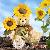 Ours en peluche Ours en peluche