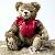 Ours en peluche Ours en peluche