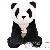 Ours en peluche Ours en peluche