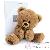 Ours en peluche Ours en peluche