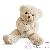 Ours en peluche Ours en peluche