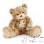Ours en peluche Ours en peluche