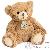Ours en peluche Ours en peluche