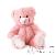 Ours en peluche Ours en peluche