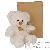 Ours en peluche Ours en peluche