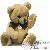 Ours en peluche Ours en peluche