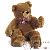 Ours en peluche Ours en peluche