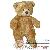 Ours en peluche Ours en peluche