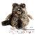 Ours en peluche Ours en peluche