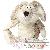 Ours en peluche