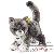 Ours en peluche Ours en peluche
