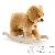 Ours en peluche