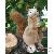 Peluches Peluches