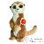 Peluches Peluches