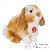 Peluches Peluches