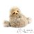 Peluches Peluches