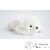 Peluches Peluches