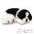 Peluches Peluches