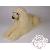 Peluches