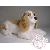 Peluches Peluches