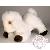 Peluches Peluches