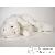 Peluches Peluches
