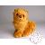 Peluches Peluches
