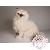 Peluches Peluches