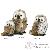 Peluches Peluches