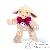Peluches Peluches
