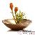Vase et Pot Vase et Pot
