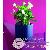 Vase et Pot Vase et Pot