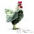 Coq Coq