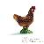 Coq Coq