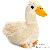 Coq Coq