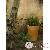 Gazon jardin Gazon jardin