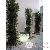 Gazon jardin